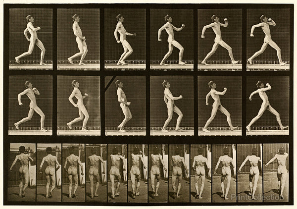 Human Males in Motion Nude Vol 1 - Plate 7 Human Males in Motion Nude Vol 1 - Plate 7