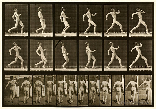 Human Males in Motion Nude Vol 1 - Plate 7 Human Males in Motion Nude Vol 1 - Plate 7