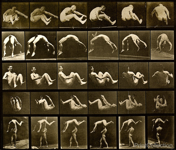 Human Males in Motion Nude Vol 2 - Plate 522 Human Males in Motion Nude Vol 2 - Plate 522