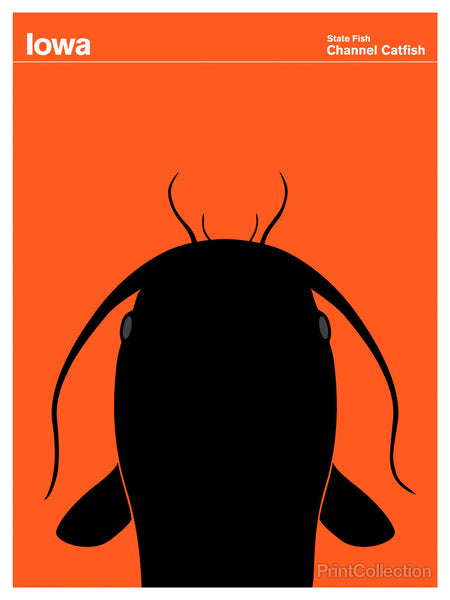 Iowa Channel Catfish Iowa Channel Catfish