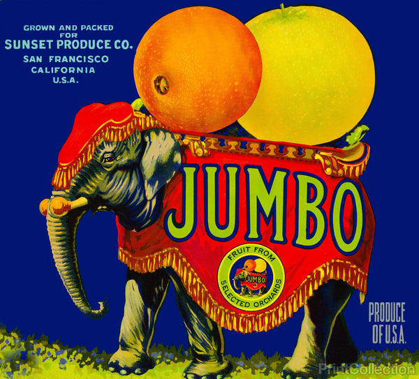 Jumbo Orange and Grapefruit Jumbo Orange and Grapefruit