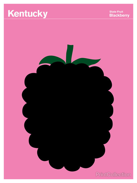 Kentucky Blackberry Kentucky Blackberry