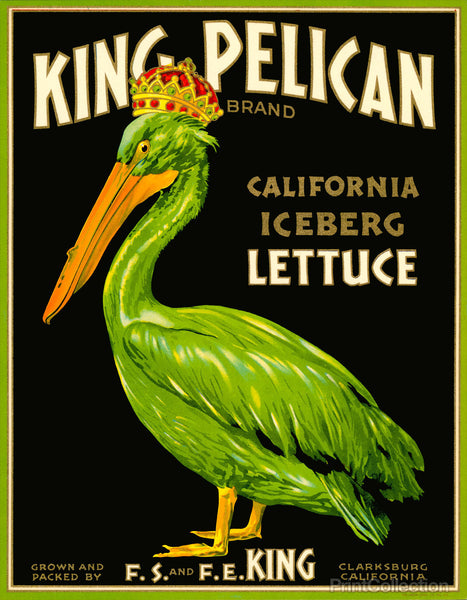 King Pelican Brand Lettuce King Pelican Brand Lettuce