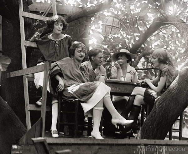 Krazy Kat Up the Tree Krazy Kat Up the Tree