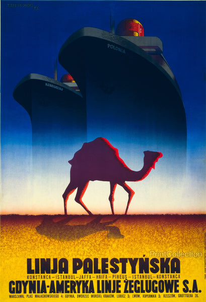 Linja Palestynska Linja Palestynska