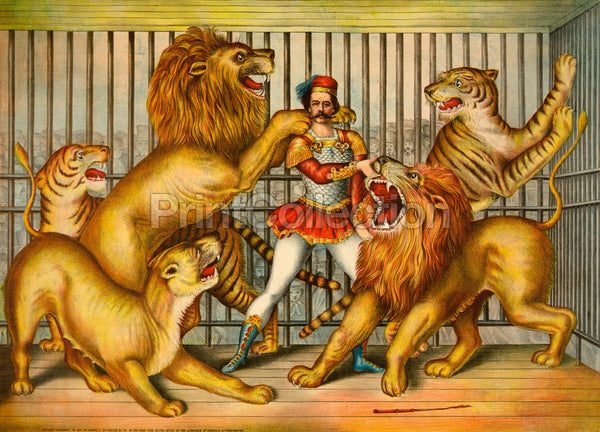 Lion Tamer Lion Tamer