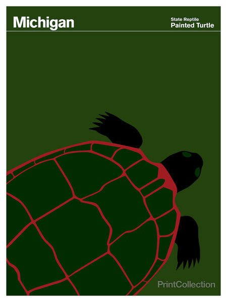 Michigan Painted Turtle