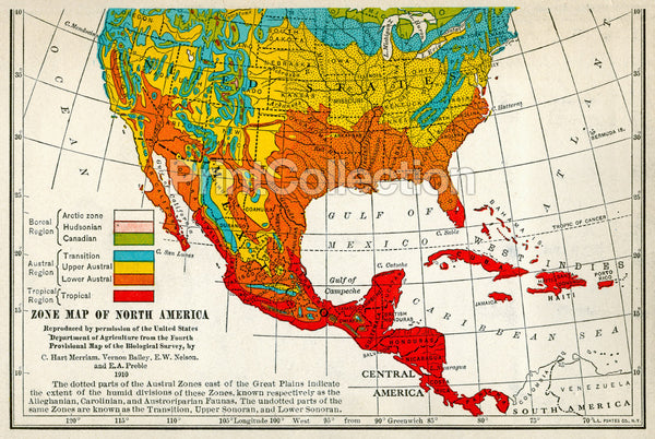 Migration Map of North American Birds 1910 Migration Map of North American Birds 1910