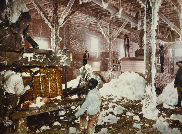 Mississippi Cotton Gin at Dahomey Mississippi Cotton Gin at Dahomey