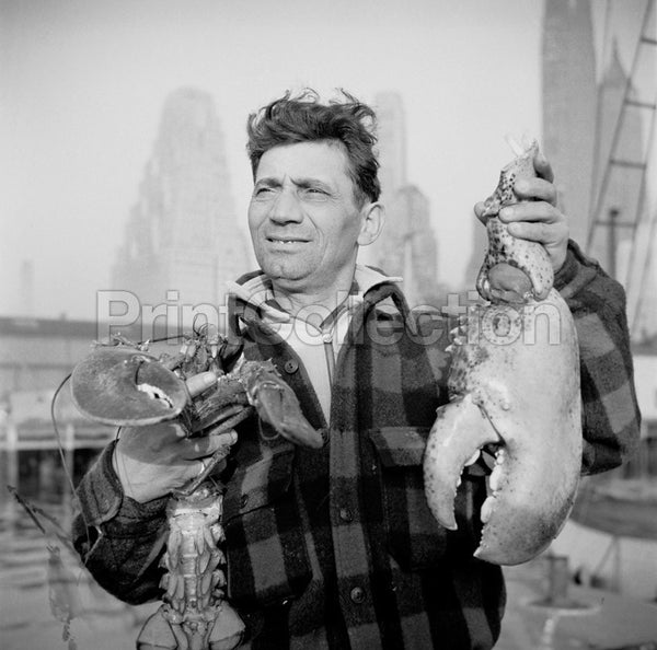 New York, New York. Dock Stevedore New York, New York. Dock Stevedore