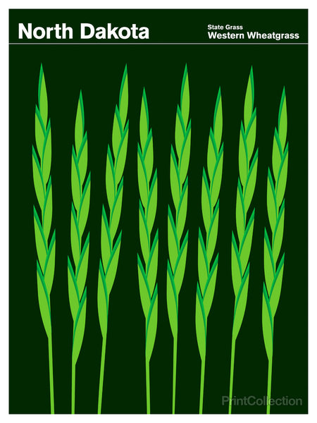 North Dakota Western Wheatgrass North Dakota Western Wheatgrass