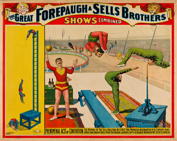 Phenomenal Acts of Contortion Phenomenal Acts of Contortion