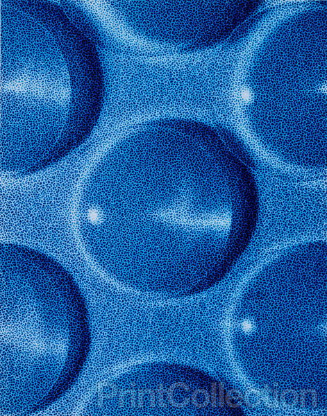 Photogram "Circles and Shadows" Photogram "Circles and Shadows"