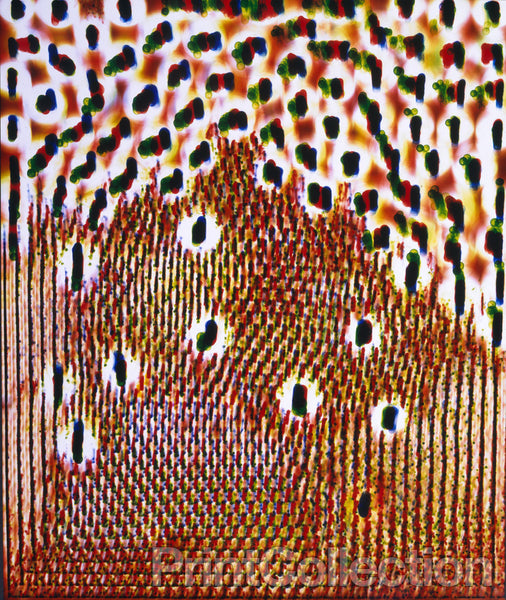 Photogram "Circles Shaking" Photogram "Circles Shaking"