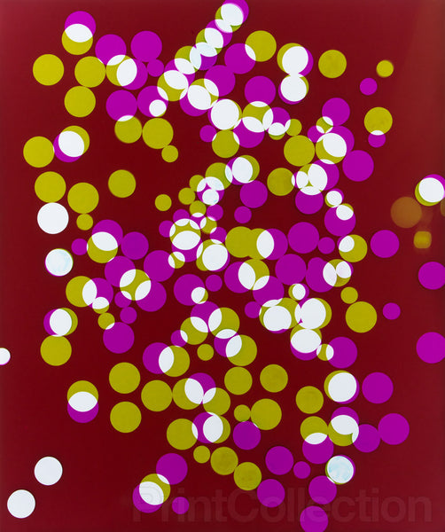 Photogram "Fall Circles" Photogram "Fall Circles"