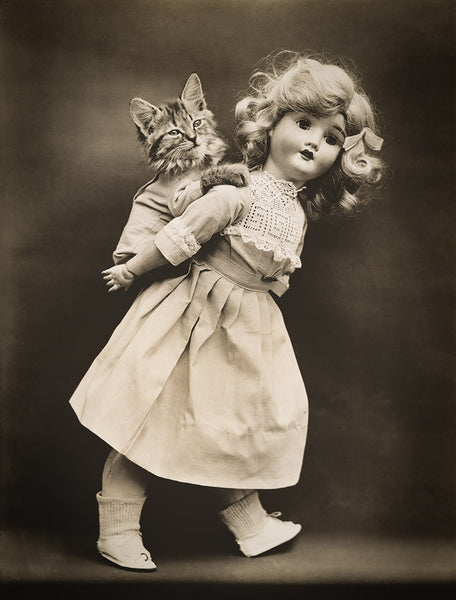 Pick-A-Pack with Cats Pick-A-Pack with Cats