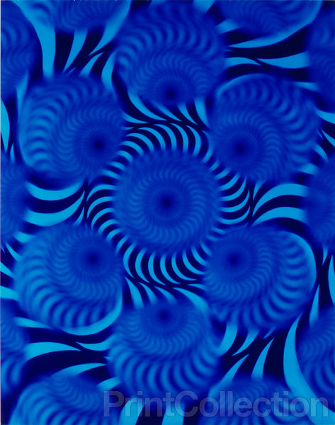 Polaroid "Circles of Confusion" Polaroid "Circles of Confusion"