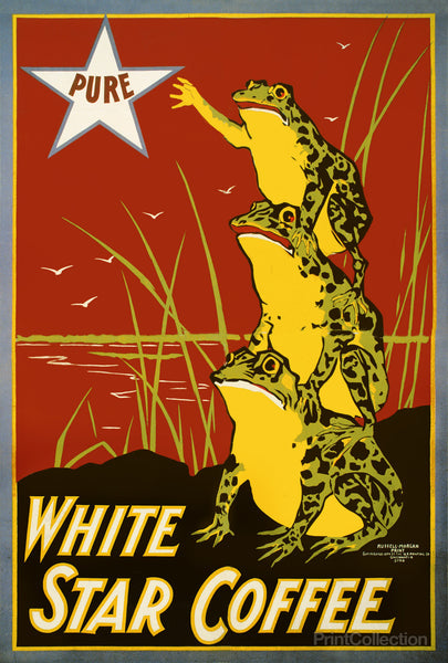 Pure White Star Coffee, Frogs Pure White Star Coffee, Frogs