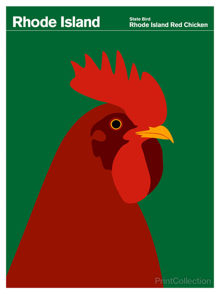 Rhode Island Red Chicken Rhode Island Red Chicken