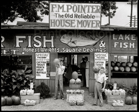 Roadside Stand Near Birmingham, Alabama Roadside Stand Near Birmingham, Alabama
