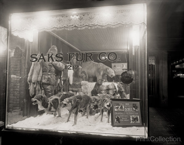 Saks Fur Co., Front with Arctic Display Saks Fur Co., Front with Arctic Display