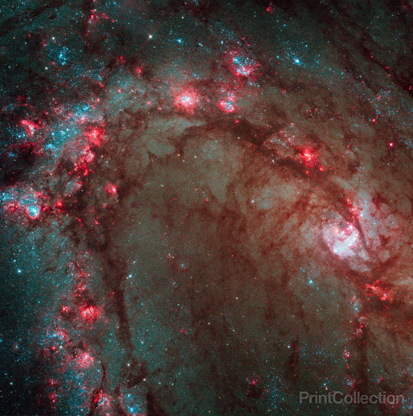 Star Birth in M83, the Southern Pinwheel Star Birth in M83, the Southern Pinwheel