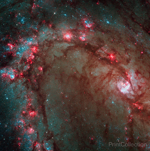 Star Birth in M83, the Southern Pinwheel Star Birth in M83, the Southern Pinwheel