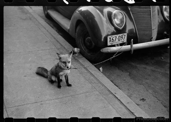 Street Corner, Fargo, North Dakota Street Corner, Fargo, North Dakota