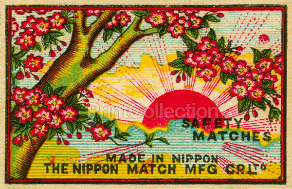 Sunset through Cherry Blossoms, Safety Match Sunset through Cherry Blossoms, Safety Match