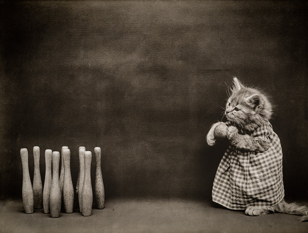 Ten Pins, Bowling with Cats Ten Pins, Bowling with Cats