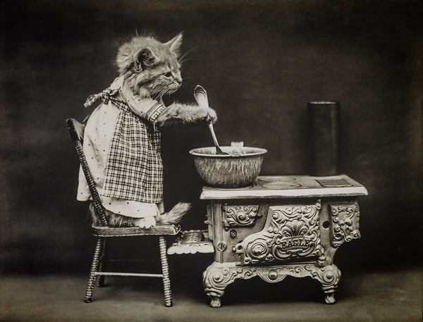 The Cook, with Cats The Cook, with Cats