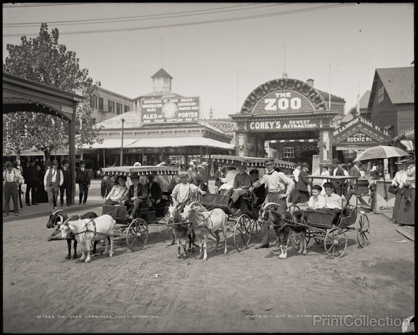 The Goat Carriages, Coney Island, N.Y. The Goat Carriages, Coney Island, N.Y.