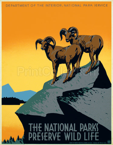 The National Parks Preserve Wild Life The National Parks Preserve Wild Life