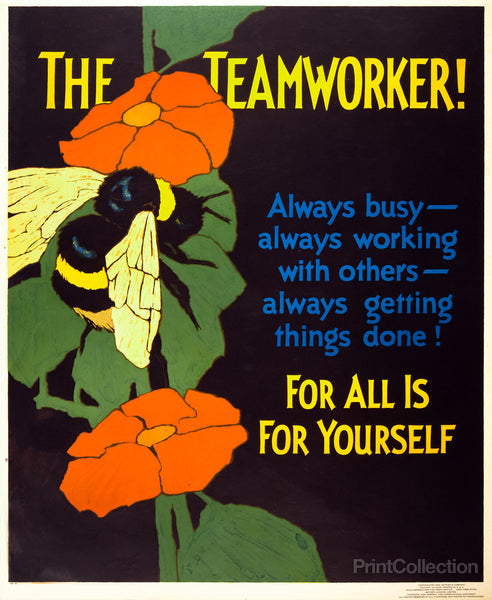 The Teamworker! The Teamworker!