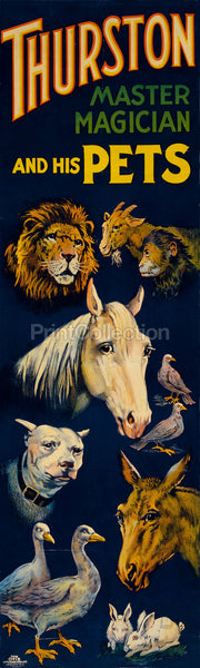 Thurston, and His Pets Thurston, and His Pets