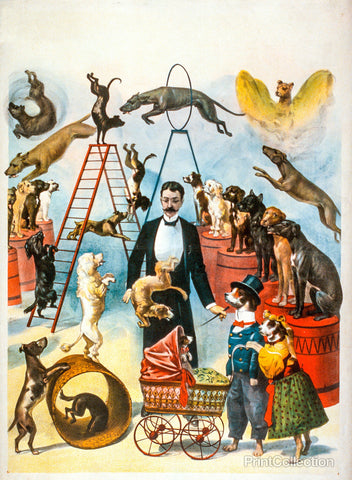 Trained Dog Act Trained Dog Act