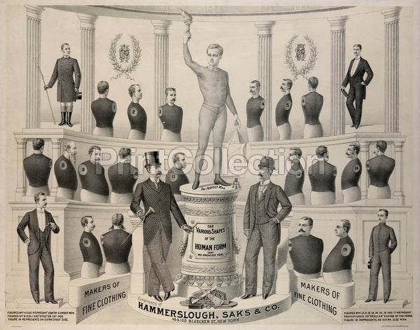 Various Shapes of the Human Form Various Shapes of the Human Form