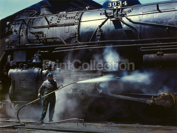 Viola, Roundhouse Wiper, Iowa Viola, Roundhouse Wiper, Iowa