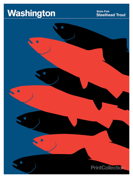 Washington Steelhead Trout Washington Steelhead Trout
