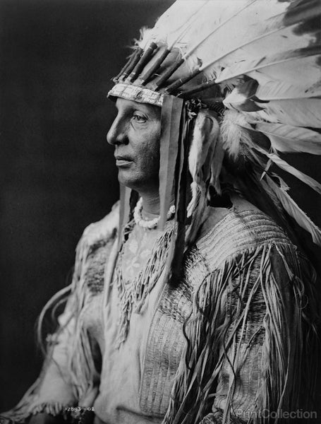 White Shield, Arikara White Shield, Arikara