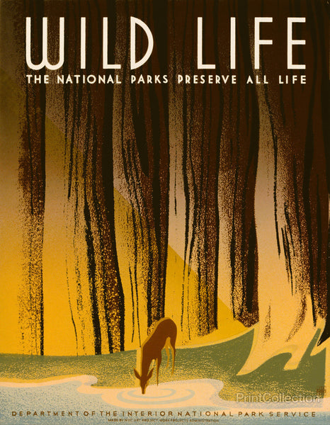 Wild Life, WPA Poster Wild Life, WPA Poster