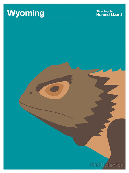Wyoming Horned Lizard Wyoming Horned Lizard