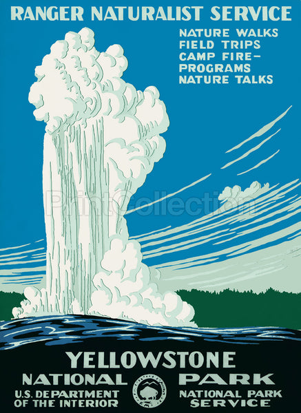 Yellowstone National Park, Ranger Naturalist Service Yellowstone National Park, Ranger Naturalist Service