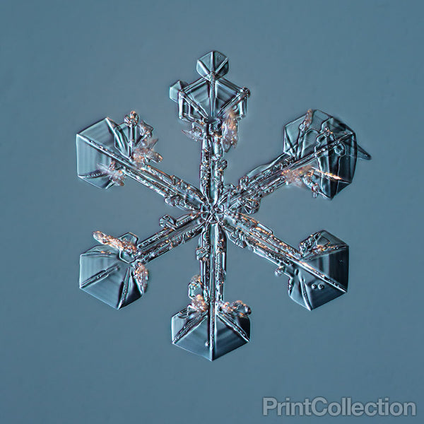 Sectored Plate Snowflake 001.3.23.2014