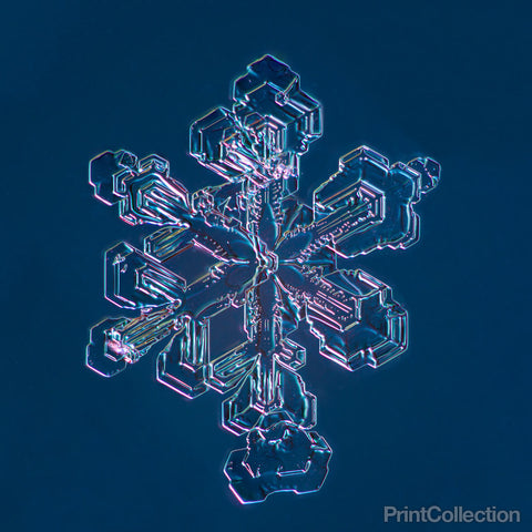 Sectored Plate Snowflake 001.3.13.2014