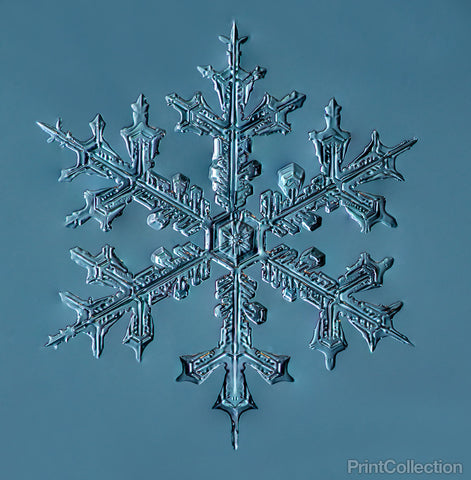 Stellar Dendrite Snowflake 002.03.24.2014