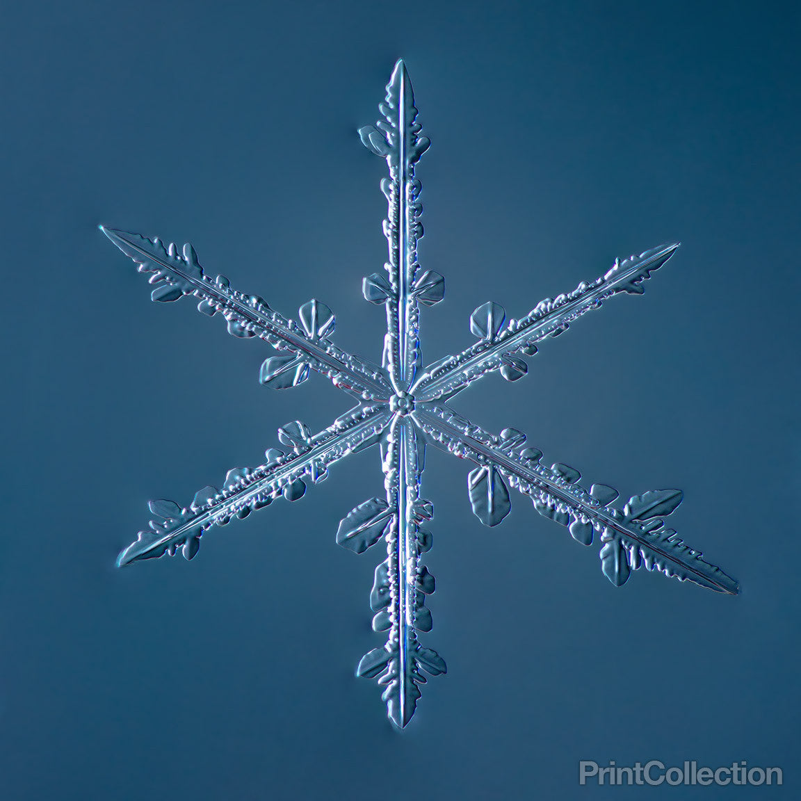 Rustic Star Snowflake Print Collection - Simple Star Snowflake 002.2.16