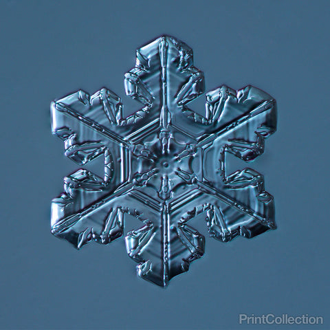 Stellar Plate Snowflake 3.03.23.2014