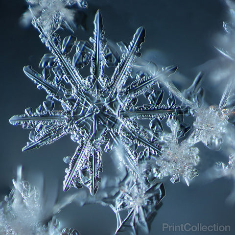 Snowflake 007.2.9.2014