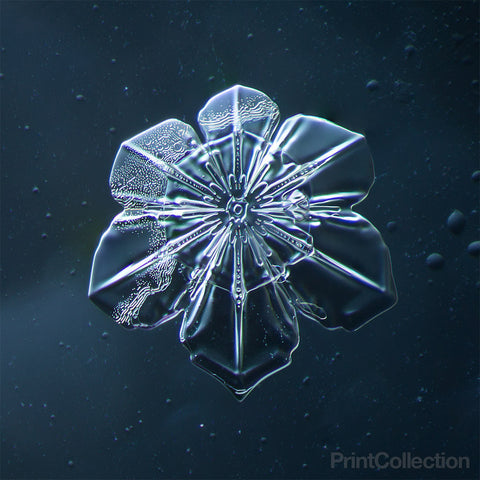 Snowflake 009.2.9.2014